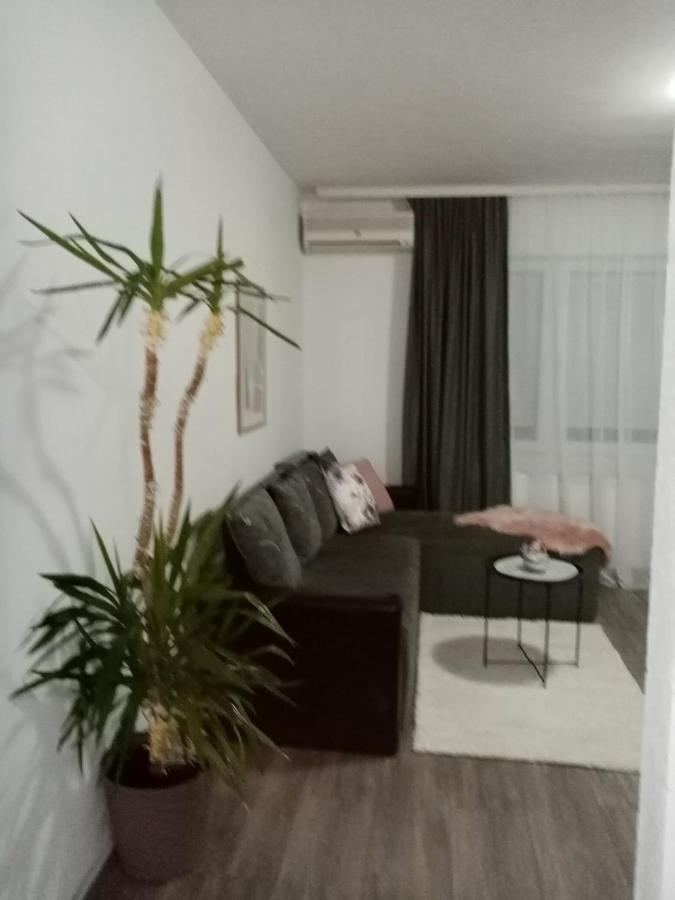 Apartman Aleksic Jagodina Extérieur photo
