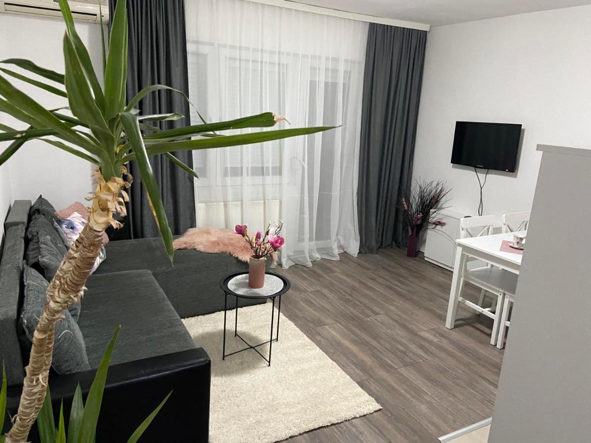 Apartman Aleksic Jagodina Extérieur photo
