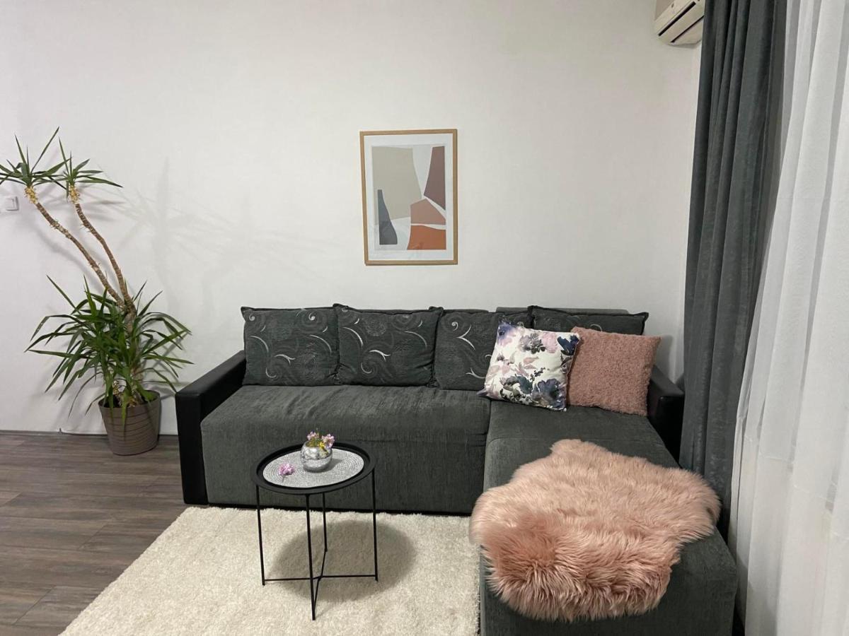 Apartman Aleksic Jagodina Extérieur photo